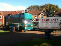 Army Ants Movers and Storers of Preston 250986 Image 1